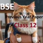 RBSE Class 12 Board Papers Previous Years