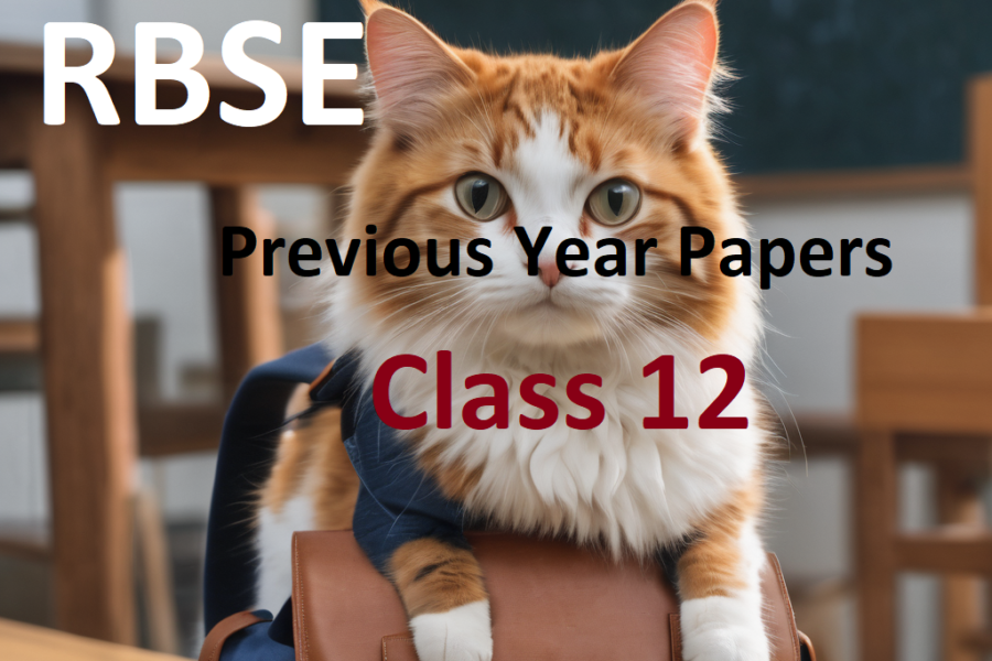 RBSE Class 12 Board Papers Previous Years