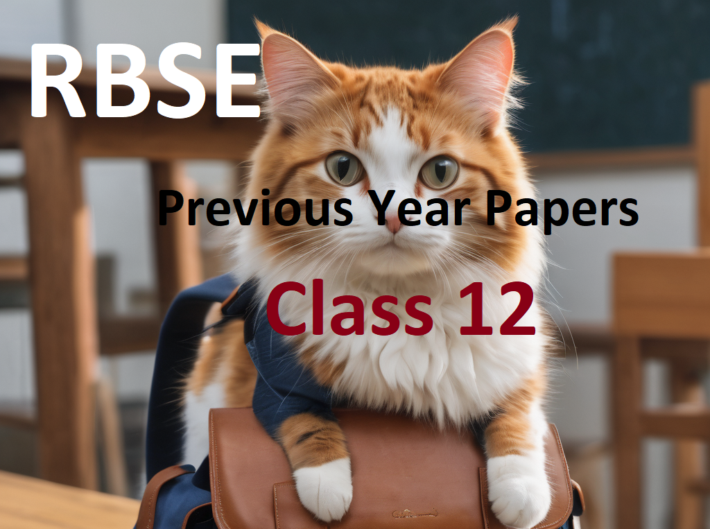 RBSE Class 12 Board Papers Previous Years